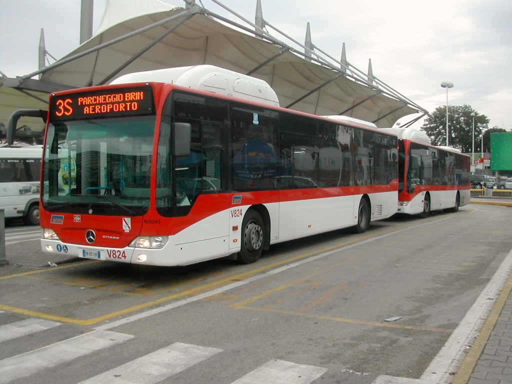 Aeroporto di Capodichino - Autobus ?Citaro CNG? a gas metano matricole V824-NU5043 e V801-NU5009 nella nuova livrea urbana EAV in servizio sulla 3S e sulla linea turistica ALIBUS in sosta al capolinea davanti al terminal arrivi