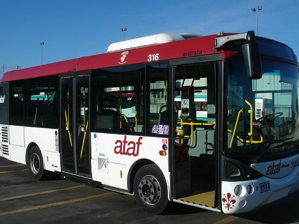 autobus ataf firenze