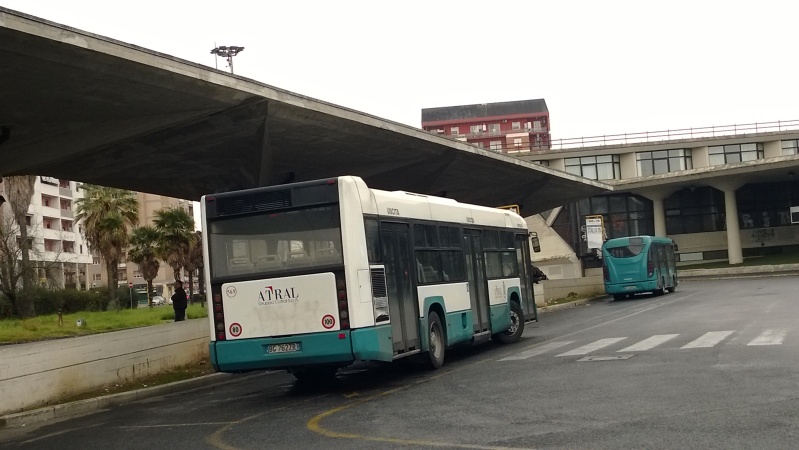 autobus atral latina