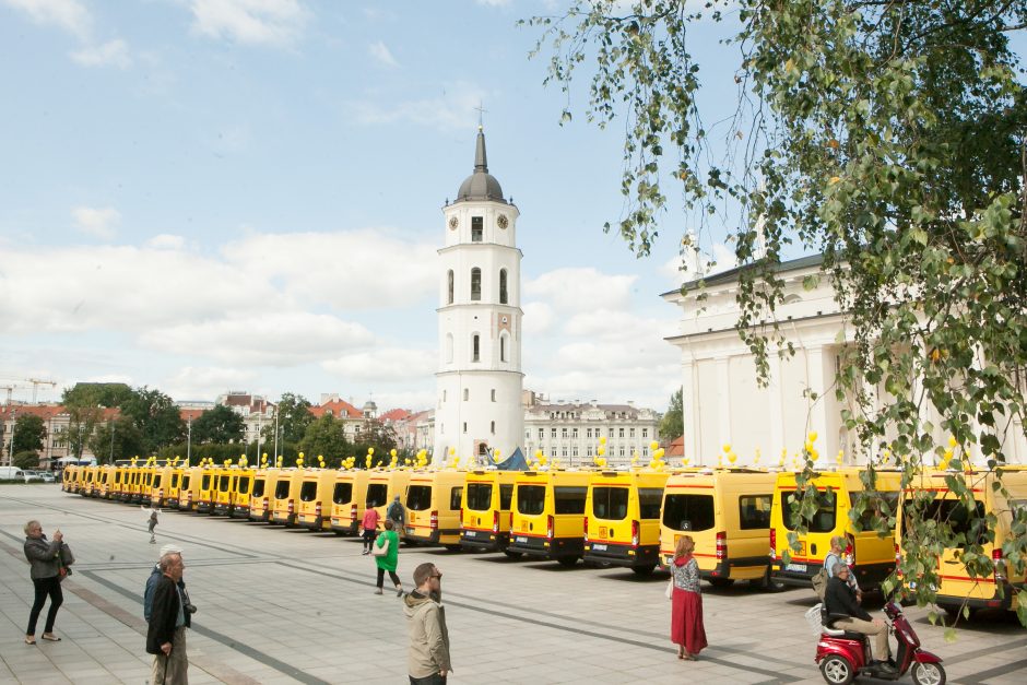 Iveco scuolabus