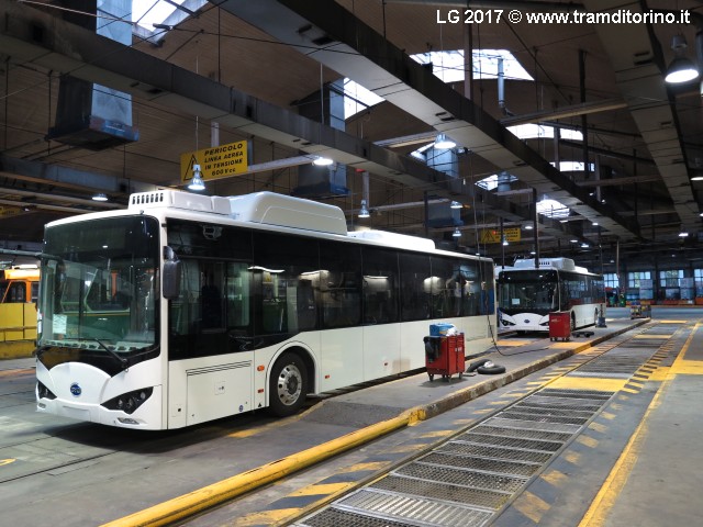 autobus elettrici byd torino