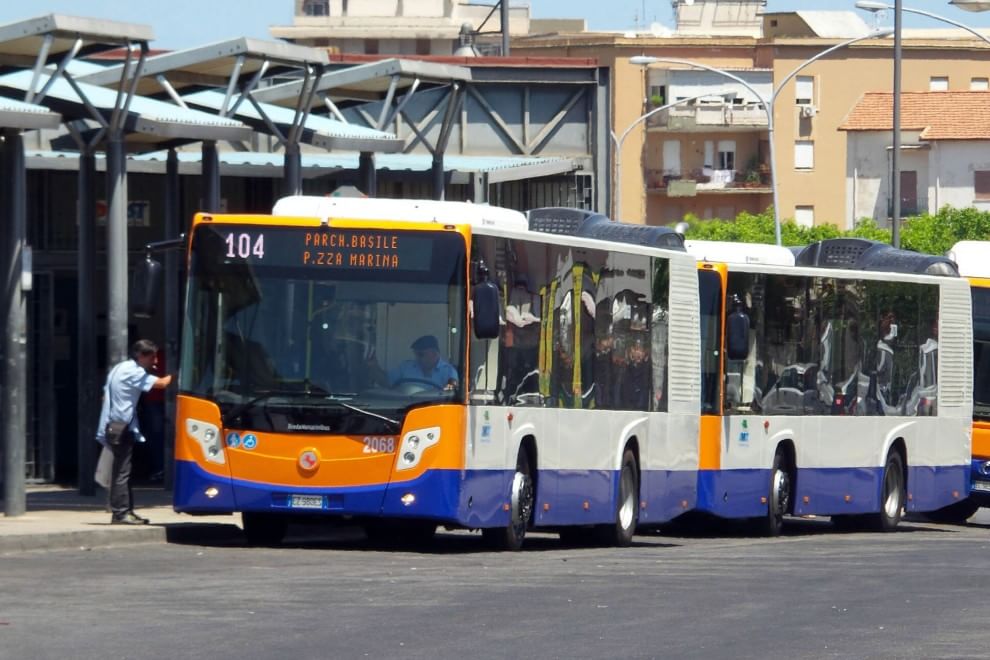 autobus amat palermo