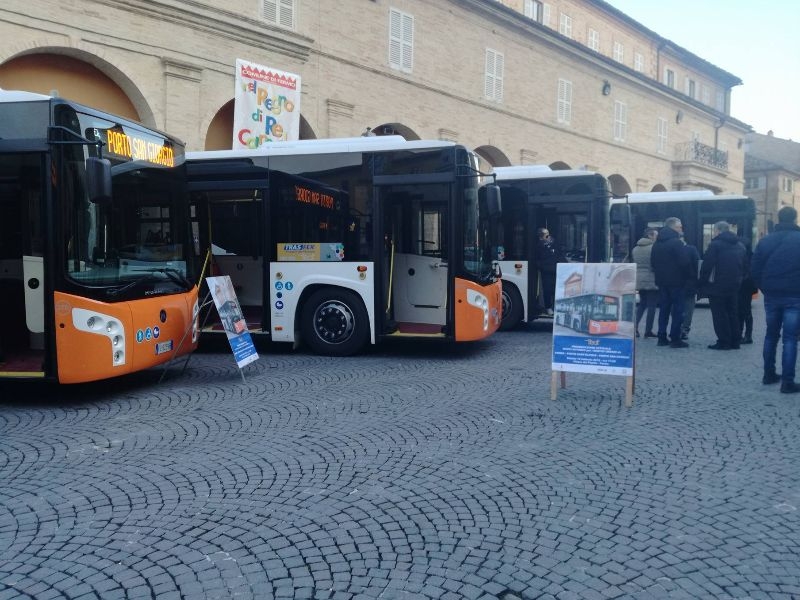 steat fermo nuovi autobus vivacity