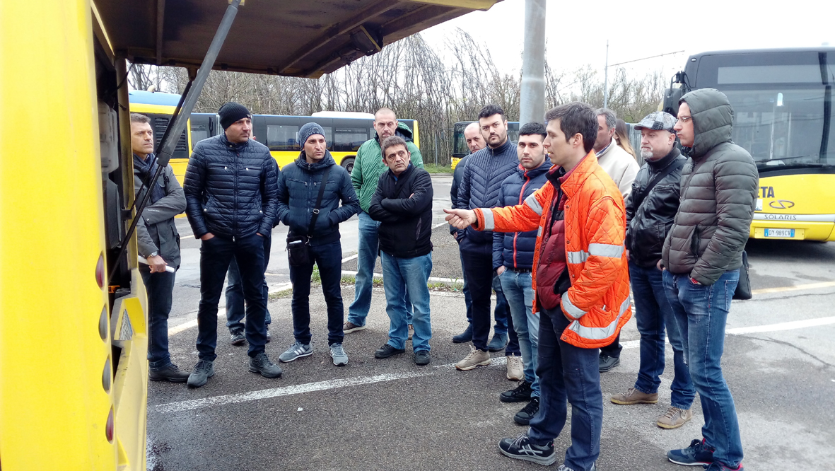 seta assunti conducenti autobus