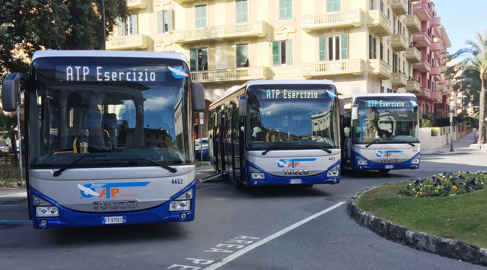 ricerca conducenti autobus