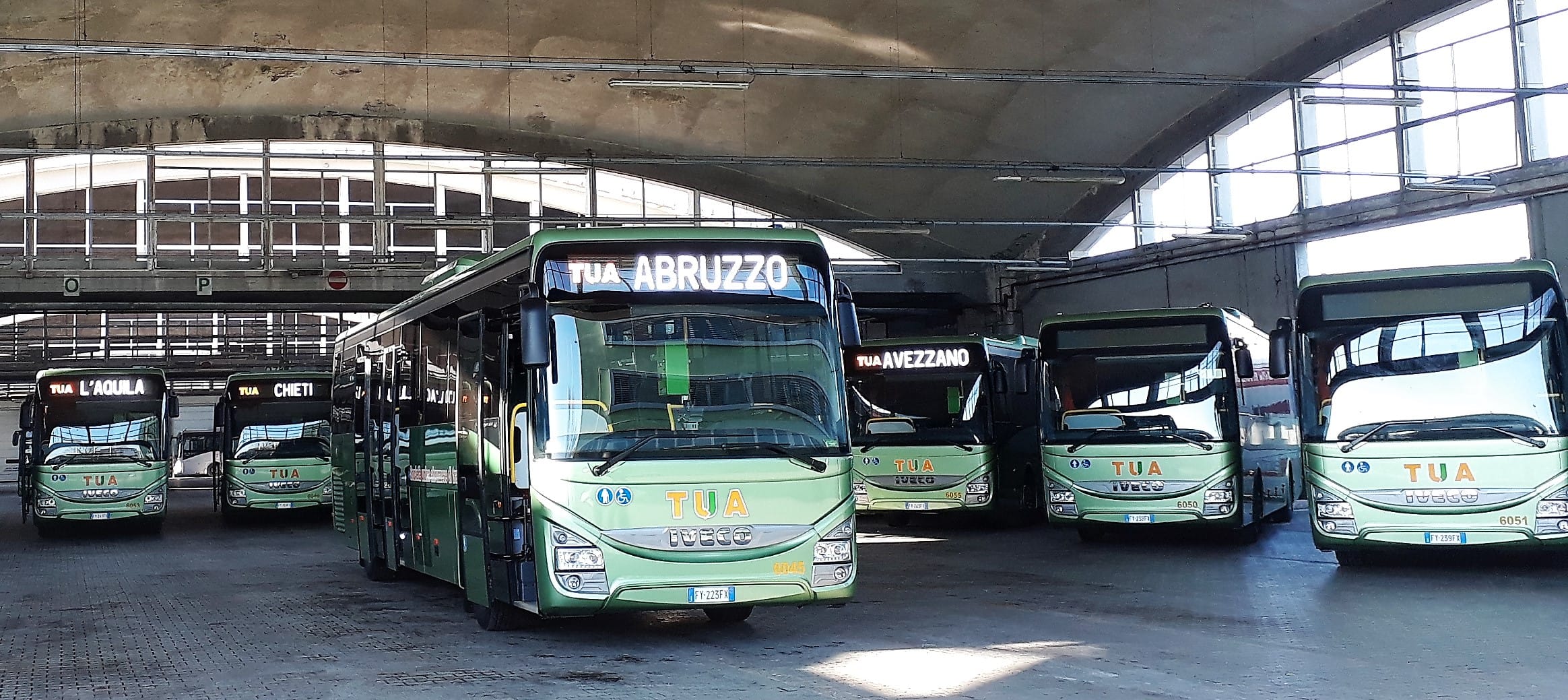 iveco bus tua abruzzo