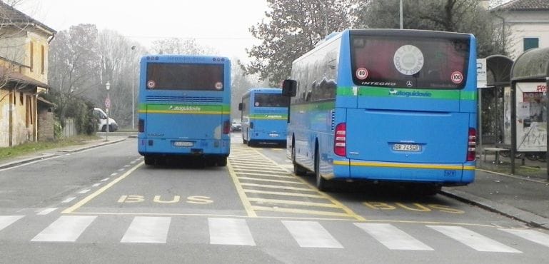bus privati trasporto pubblico